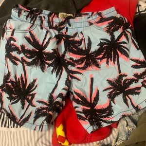 Tropical Palm Trees Shorts